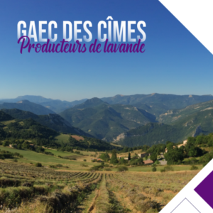 Producteurs de lavande Bio GAEC des Cîmes